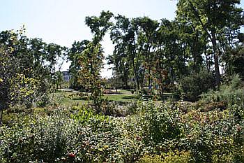 Erleben Sie Ein Kinderhotel In Rostock Warnemunde In Ihrem Ostseeurlaub
