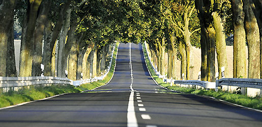 Zu Land - Auf der Straße – Yachthafenresidenz Hohe Düne